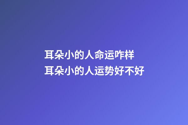 耳朵小的人命运咋样 耳朵小的人运势好不好